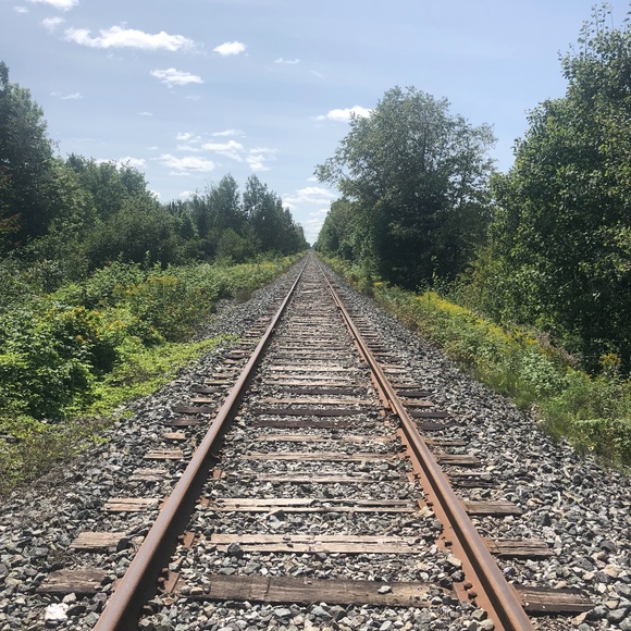 Meet your Posher, Anna - Picture 1 of 1